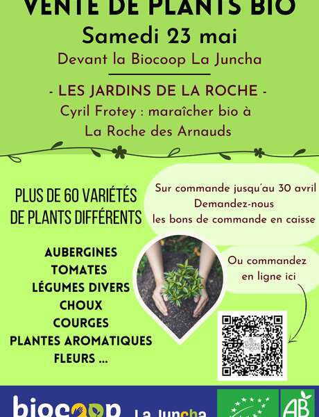 Vente de plants maraichers