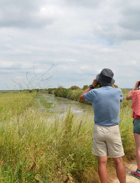 Guided tour: Heart of the Grand Site