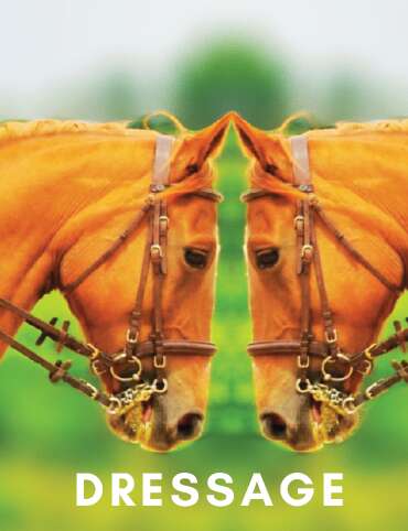 Concours de dressage