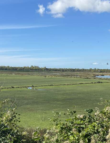 Randonnée du marais du Roy