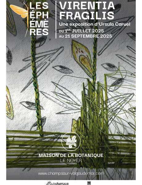 Les Éphémères : Virentia Fragilis