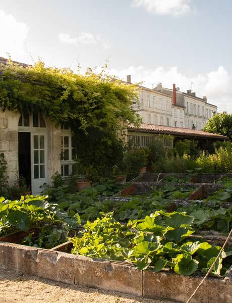 Guided tour: plants and gardens
