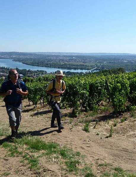 Les Rendez-vous de mon Parc "Sur les pas des pèlerins de Compostelle"