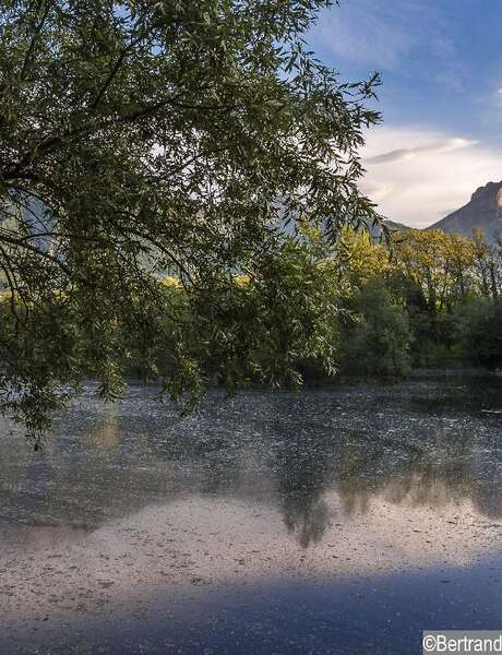Un air de nature - avec Atmo Auvergne-Rhône-Alpes
