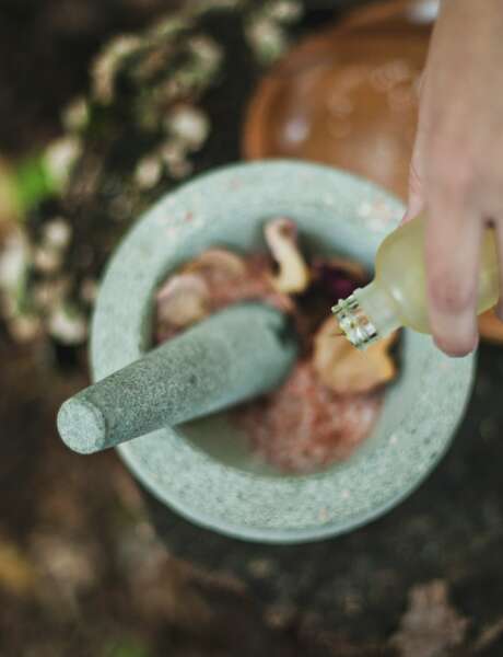 Atelier - Plantes magiques