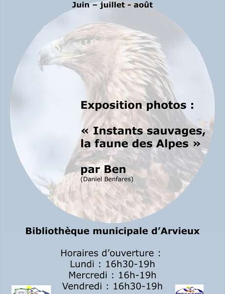 Exposition photos : Instants sauvages, la faune des Alpes