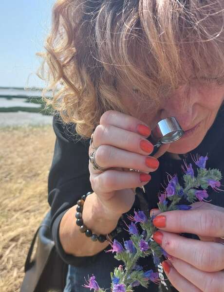 Visite : Découvrir les plantes sauvages