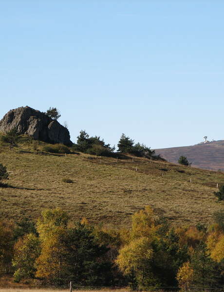 Trail des Hautes-Chaumes