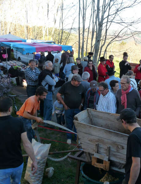 Fête du cidre et de la châtaigne