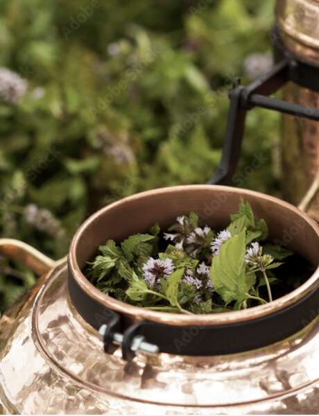 Initiation à la distillation de plantes aromatiques et médicinales