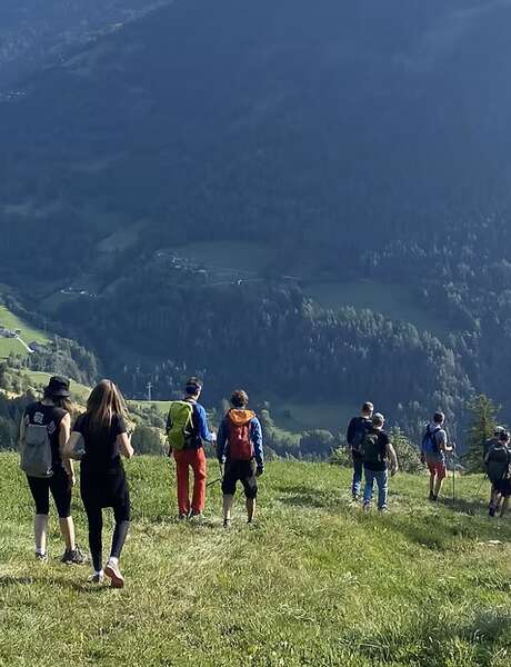 Fête de la Nature | Entdeckung der Narzissen und Osterglocken im Val d'Illiez