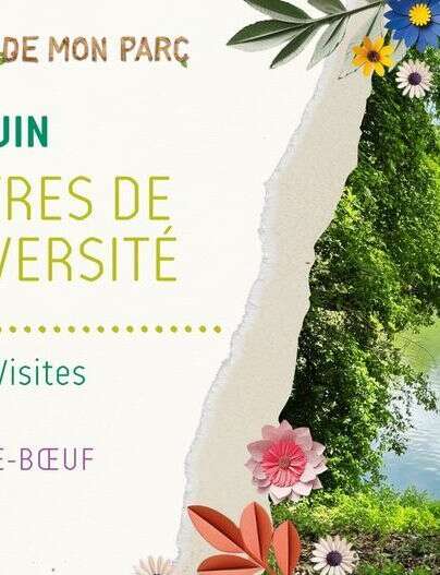 Les Rendez-vous de mon Parc "Rencontres de la biodiversité"