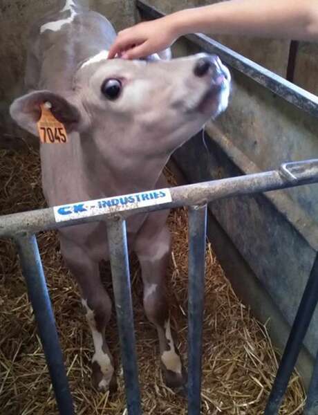 Visite de la ferme de La Place