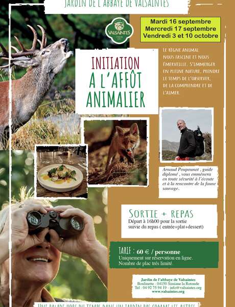 Sortie d'initiation à l'affût et repas