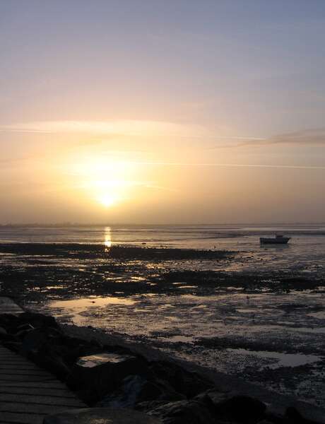 The twilight on the nature reserve