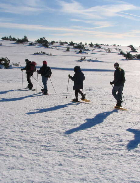 Veillées nordiques en Loire Forez