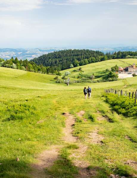 Rando OFF-TEL - Massif du Pilat