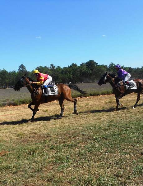 Courses hippiques annuelles de Sault