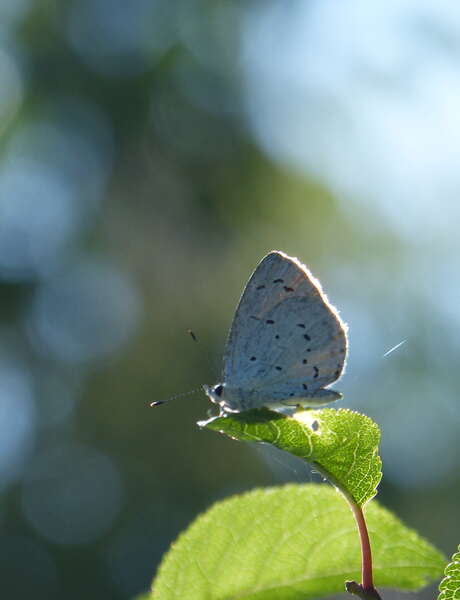 The nature reserve in a day