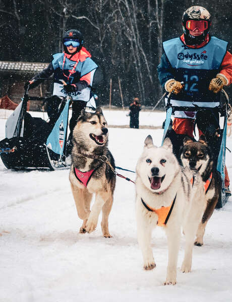 La Grande Odyssée - L'Odyssée des Enfants