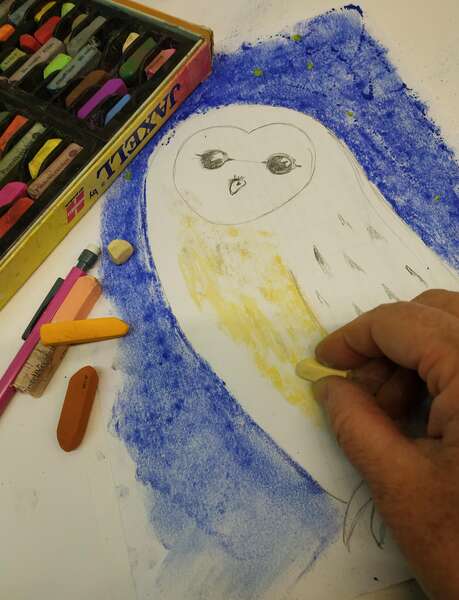 Exposition participative "Oiseaux"