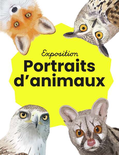 Portraits d'animaux