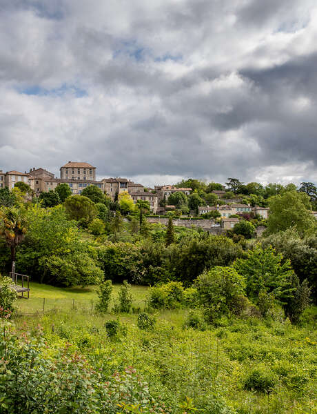 Découverte de la cité de Montpezat-de-Quercy entre vignes et vergers, et dégustation des vins
