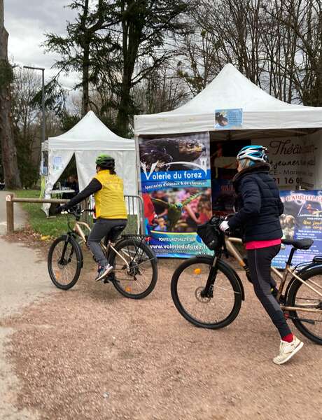 Initiation au vélo à assistance électrique - Comice agricole