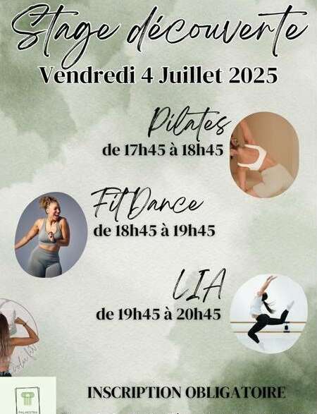Stage découverte