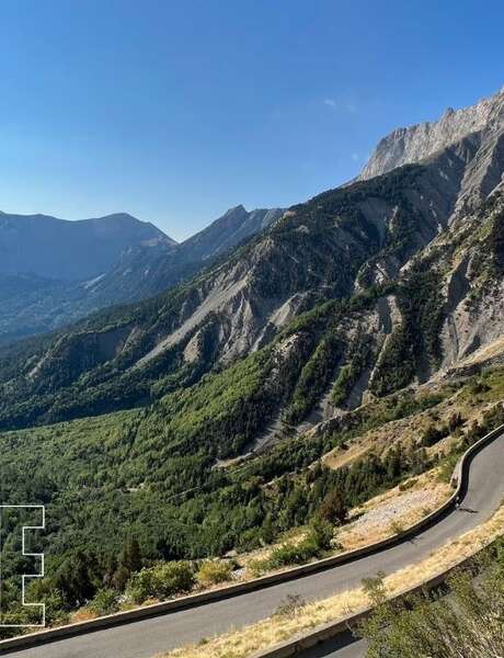 Festival de l'Alpage : À la découverte des plantes du Col du Noyer