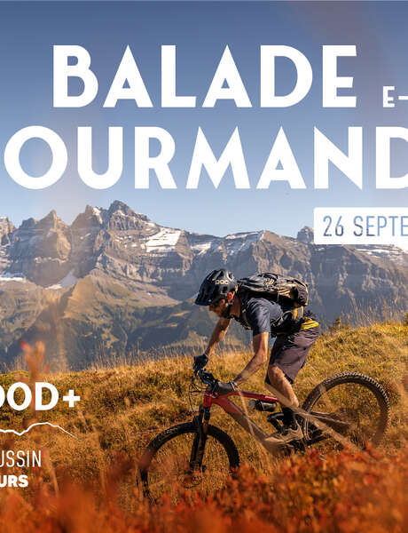 Balade Gourmande en E-Bike