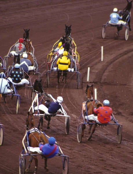Courses hippiques