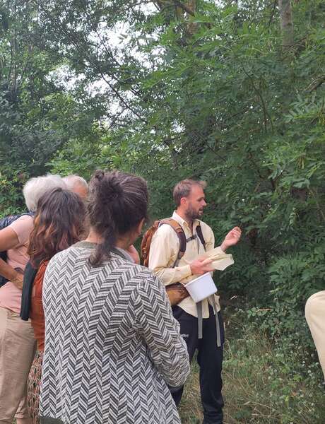 Découverte des arbres & Collecte de graines