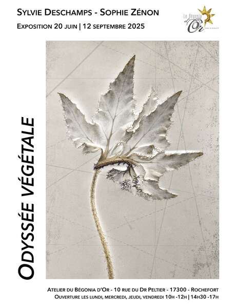 Ausstellung: Pflanzen-Odyssee