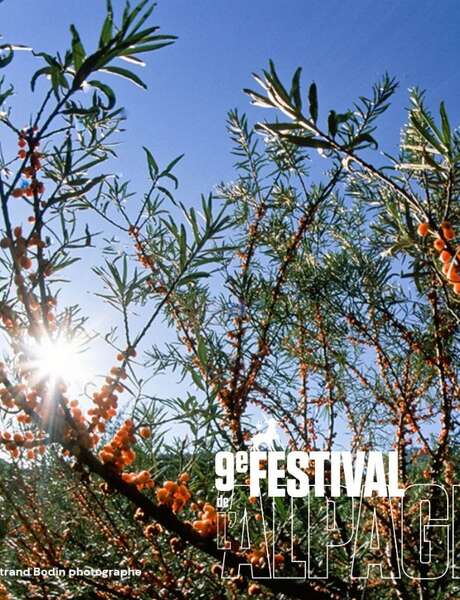 Festival de l'Alpage : Visite des cultures d'argousier d'Altiflore