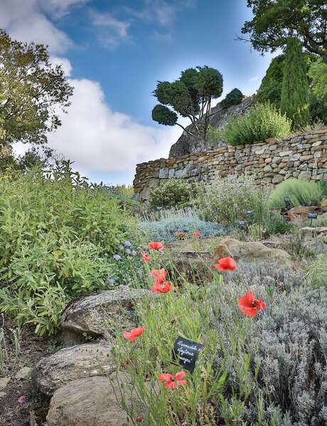 Conférence : Le jardin sec