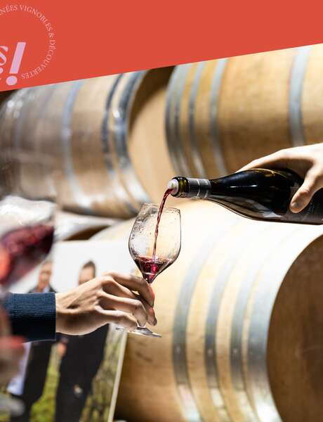 Open days at Domaine Anthony Paret