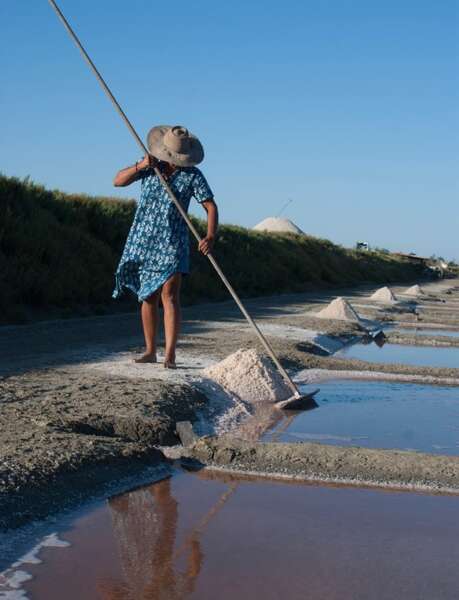 Conférence : Saunier, un métier traditionnel