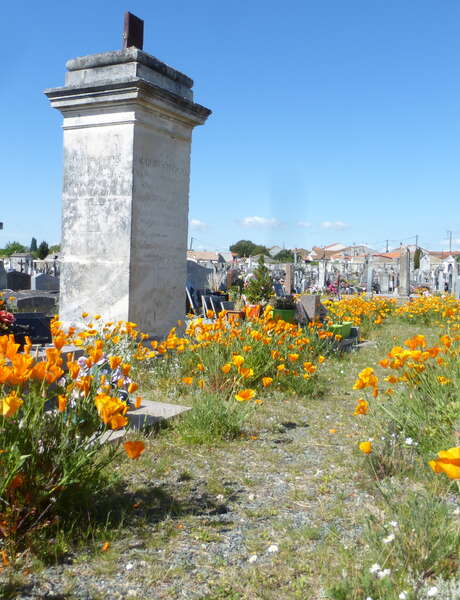 Frühling auf den Friedhöfen
