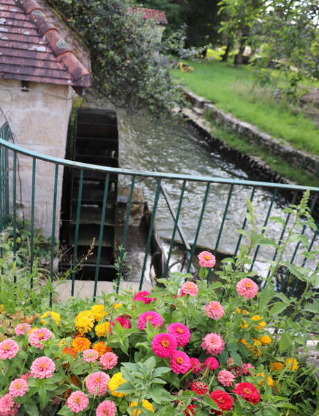 Verjon, au fil de l'eau