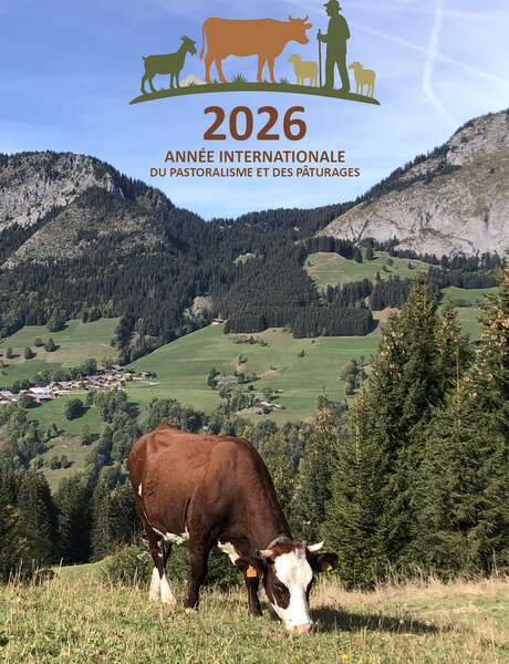 Regards croisés sur les alpages: screenings and expert exchanges Regards croisés sur les alpages: screenings and expert exchanges