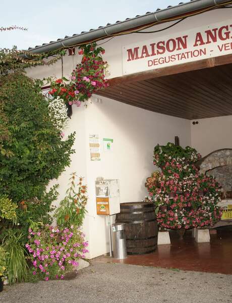 Les Pieds dans le Local® ! Visite d'exploitation : Maison Angelot