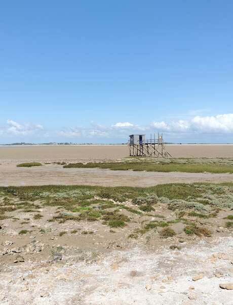 On the way to Fouras Cove