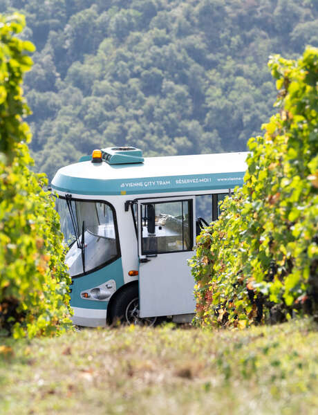 Côte-Rôtie Tour