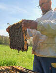Atelier - Initiation à l’apiculture