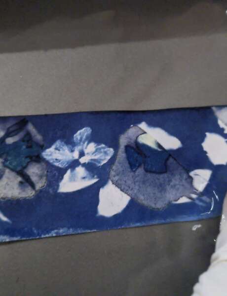 Journée Balade découverte et atelier Cyanotype