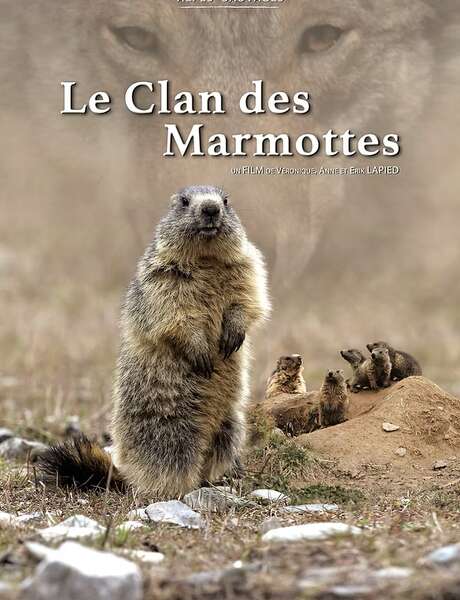 Projection film LE CLAN DES MARMOTTES- En présence de la réalisatrice