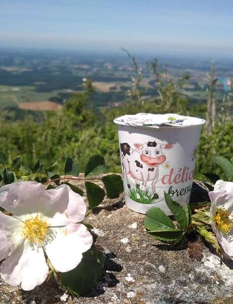 Vente à la ferme au Gaec P2MN - Les délices bressans Vente à la ferme au Gaec P2MN - Les délices bressans