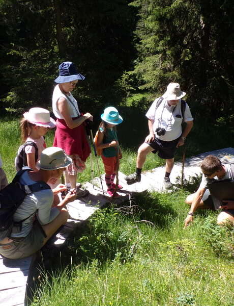 Visite guidée du sentier des Arpelières - les animaux des tourbières