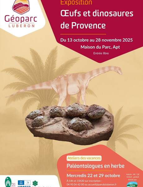 Spécial vacances de la Toussaint : devenez paléontologue en herbe